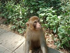 -黔灵山公园