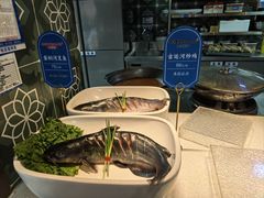 -老德州四合院·德州菜(天衢路店)