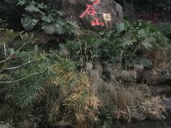 -乌山风景区