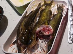 黄辣丁-钢管厂歆瑞源油卤串串香(春熙路太古里店)