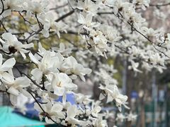 -外高桥保税区南(地铁站)