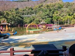 -西双版纳原始森林公园