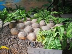 -延庆地质公园博物馆