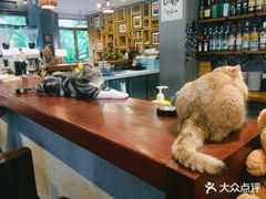 -咖法森林·咖啡  酒吧(天河店)