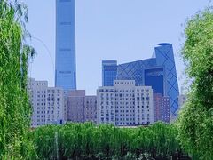 -团结湖公园