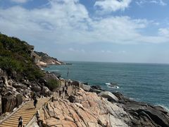 -广东惠东海龟国家级自然保护区
