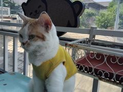 -小时光咖啡馆(北锣鼓巷店)