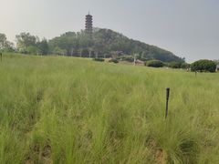 -红花山公园
