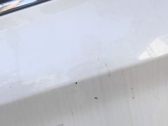 -阿锋烧烤海鲜楼(贝村烧烤一条街)