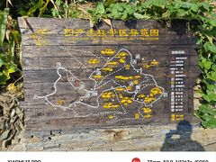 -阳产土楼