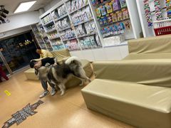 -宠颐生中康贝怡动物医院