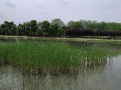 -两河城市森林公园
