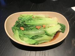-MR鹅外