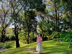 -云溪植物园