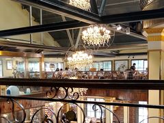 -more than meow吴止猫主题餐厅(承德 中船汇店)