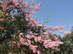 -中国移动南方基地