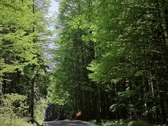 -山王坪喀斯特国家生态公园