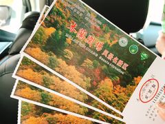 -塞罕坝国家级自然保护区