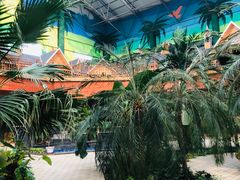 -沈阳龙润夏宫温泉水乐园