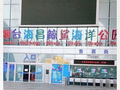 -烟台海昌鲸鲨海洋公园