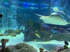 -沈阳海洋探索中心