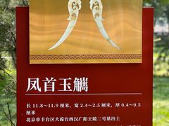 -北京大葆台遗址博物馆