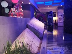 -上海外滩英迪格酒店