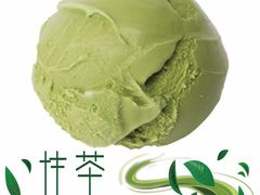 抹茶-法莱索尔(奥莱店)