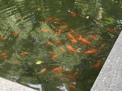 -人民广场