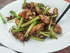 酱爆鲜鱿鱼-滑记海鲜饭店·老字号(海鲜街店)