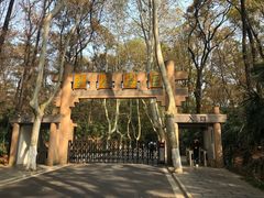 -灵谷景区