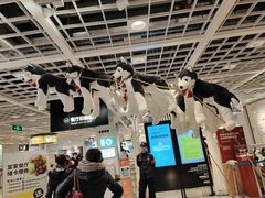 -宜家家居(哈尔滨商场店)