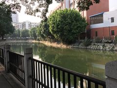 景点-晓港公园