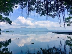 -大埔公路-马料水段香港中文大学(公交站)