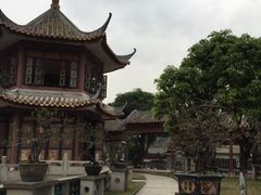 -碧江金楼
