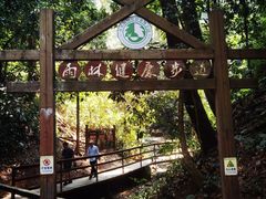 -野象谷景区