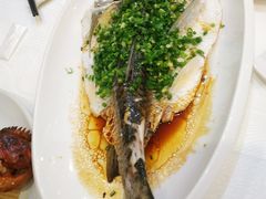 -东方御宴海鲜酒楼(棕泉酒店)