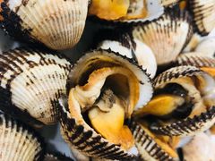 -张树军海鲜(王府壹号店)