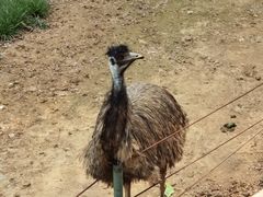 -石家庄市动物园