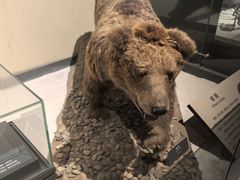 -大庆市博物馆