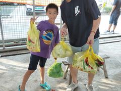 -马陆小张葡萄园农家乐