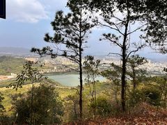 -风云岭森林公园