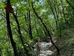 -帽儿山国家森林公园