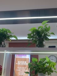 -金美秀养生瘦身