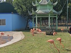 -秦皇岛野生动物园