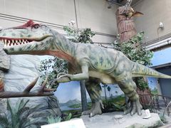 -国家自然博物馆