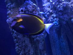 -成都浩海立方海洋公园