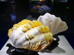 -贝壳王国博物馆
