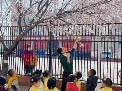 -吉而慧幼儿园-原红黄蓝幼儿园(世华水岸园)