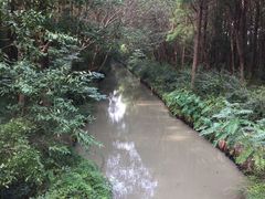 -同里国家湿地公园